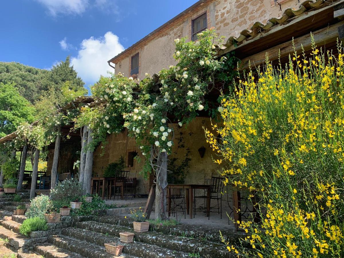 Agriturismo Locanda Settimo Cielo Lubriano Exterior foto